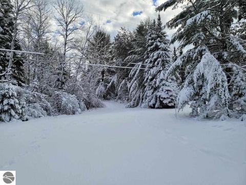 10659 Stephan Bridge Rd, Roscommon, MI 48653 photo 14