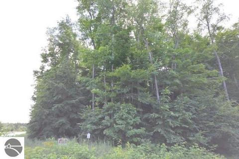 10950 Dylan Dr, Interlochen, MI 49643 photo 13