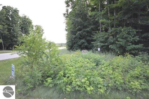 10950 Dylan Dr, Interlochen, MI 49643 photo 11