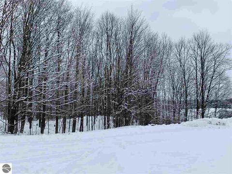 11465 E 16 Rd, Manton, MI 49663 photo 51
