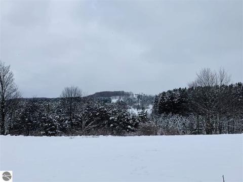 11465 E 16 Rd, Manton, MI 49663 photo 50