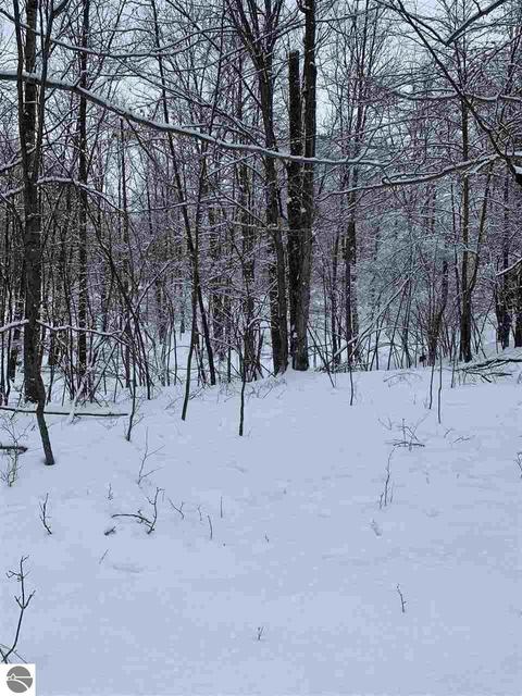 5051 E Monroe Rd, Harrison, MI 48625 photo 9