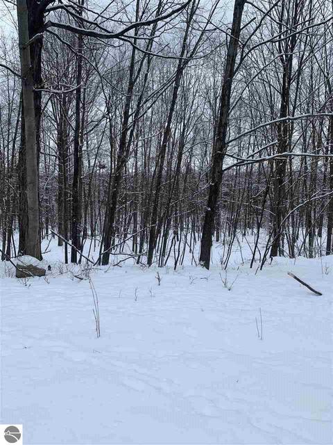 5051 E Monroe Rd, Harrison, MI 48625 photo 51