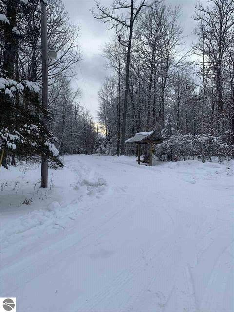 5051 E Monroe Rd, Harrison, MI 48625 photo 7