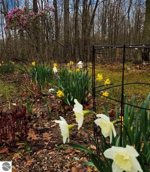 5051 E Monroe Rd, Harrison, MI 48625 photo 47
