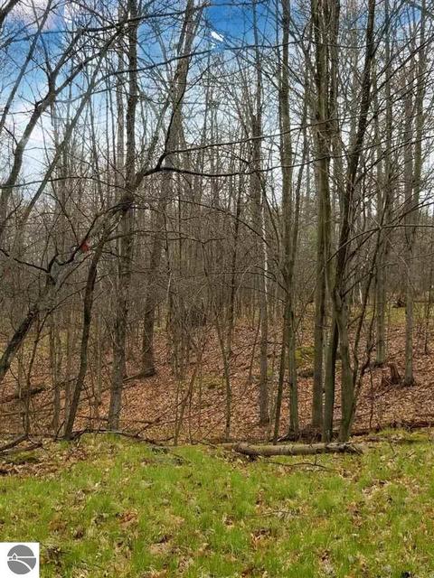 5051 E Monroe Rd, Harrison, MI 48625 photo 55