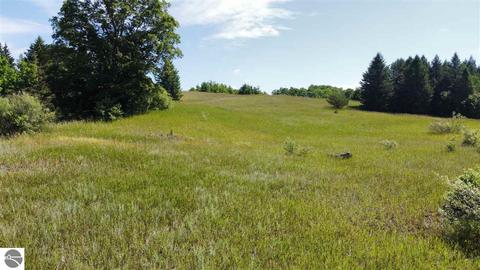 APT 27 Whitetail Drive, Bellaire, MI 49615