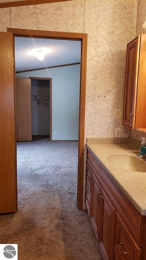 810 Ely St, Alma, MI 48801 photo 29