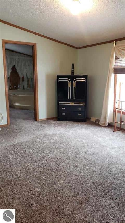 810 Ely St, Alma, MI 48801 photo 22