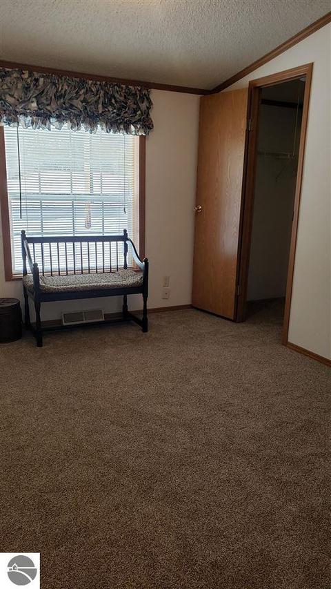 810 Ely St, Alma, MI 48801 photo 19