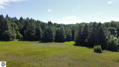 APT 29 Whitetail Drive, Bellaire, MI 49615