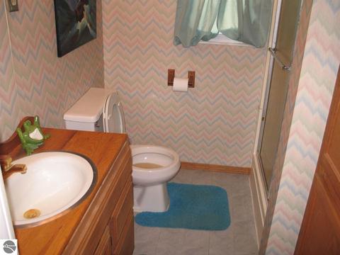 669 Everett Trl, Hale, MI 48739 photo 7