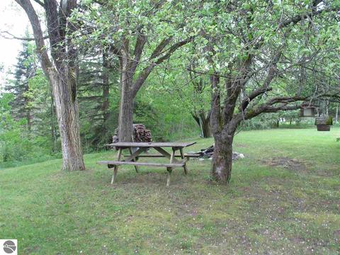 669 Everett Trl, Hale, MI 48739 photo 3