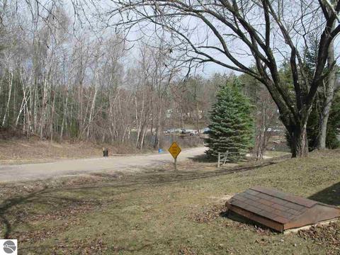 669 Everett Trl, Hale, MI 48739 photo 19
