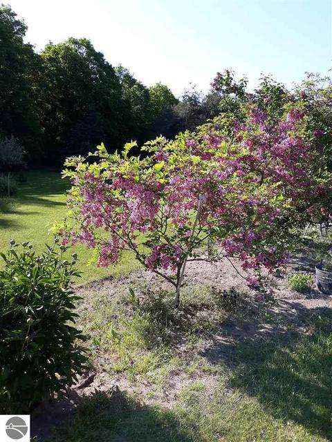 425 Grant Rd, Germfask, MI 49836 photo 47