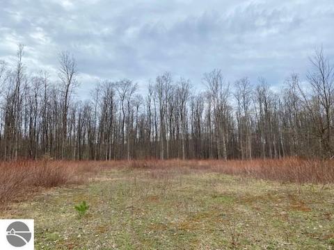 00 W 34 Rd, Boon, MI 49618 photo 4