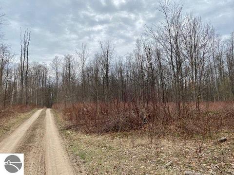 00 W 34 Rd, Boon, MI 49618 photo 1
