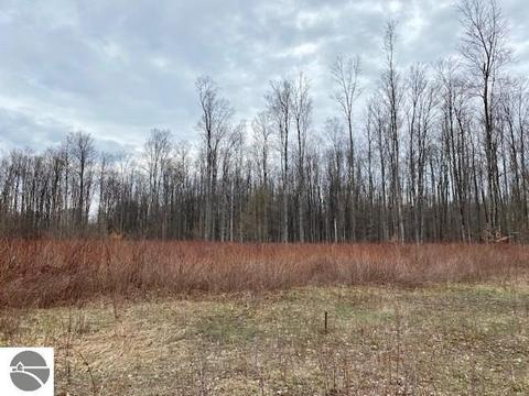 00 W 34 Rd, Boon, MI 49618 photo 7