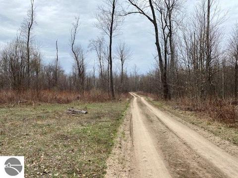 00 W 34 Rd, Boon, MI 49618 photo 3