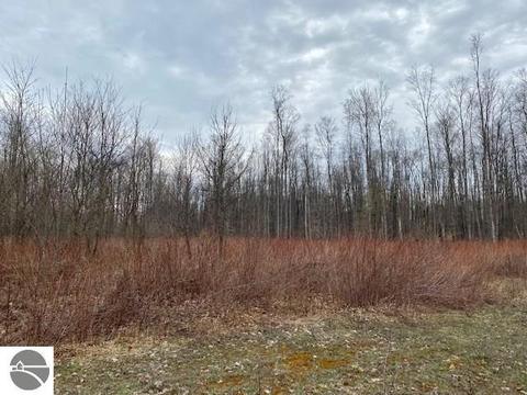 00 W 34 Rd, Boon, MI 49618 photo 5