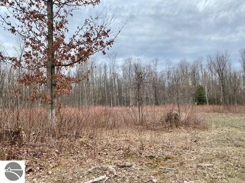 00 W 34 Rd, Boon, MI 49618 photo 2