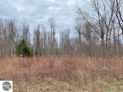 00 W 34 Rd, Boon, MI 49618 photo 8