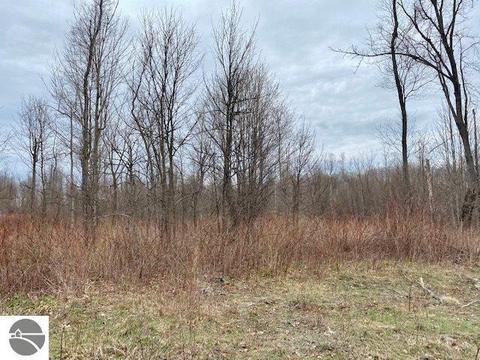 00 W 34 Rd, Boon, MI 49618 photo 6