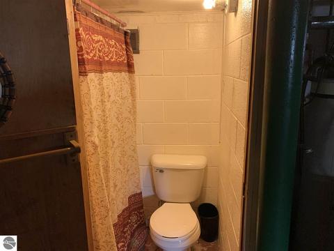 205 S Ithaca St, Ithaca, MI 48847 photo 33