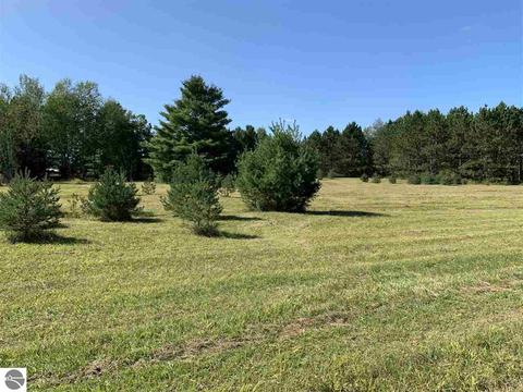 3585 Sage Lake Rd, Lupton, MI 48635 photo 6