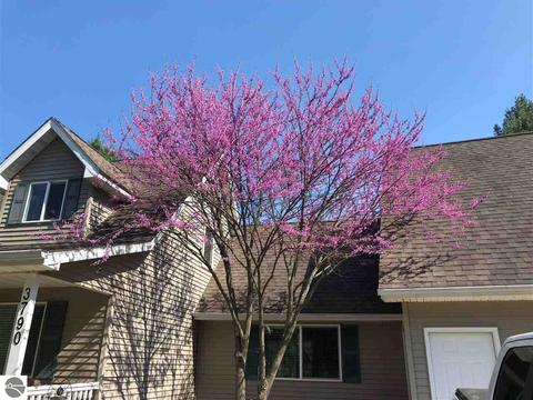 3790 Birch Dr, Lupton, MI 48635 photo 7