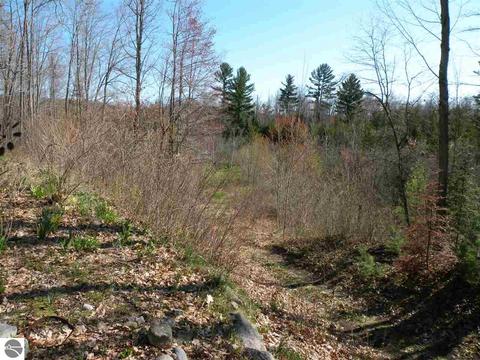 9530 Nancy Ann Dr, Gladwin, MI 48624 photo 27