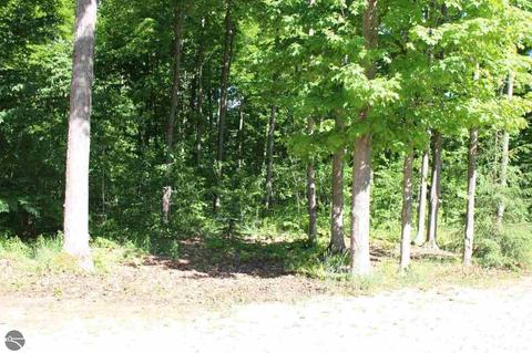 4663 Soderquist Rd, Mancelona, MI 49659 photo 5