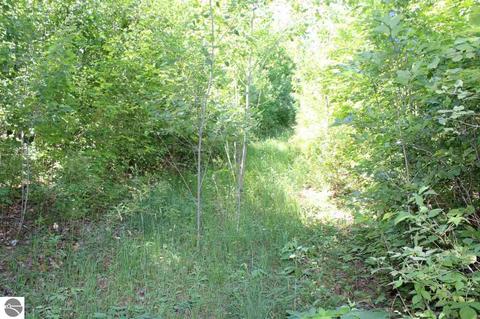 4663 Soderquist Rd, Mancelona, MI 49659 photo 45