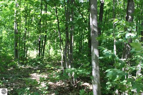 4663 Soderquist Rd, Mancelona, MI 49659 photo 50