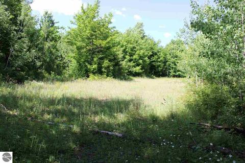 4663 Soderquist Rd, Mancelona, MI 49659 photo 46