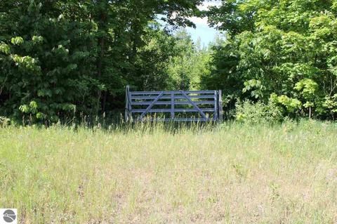 4663 Soderquist Rd, Mancelona, MI 49659 photo 44
