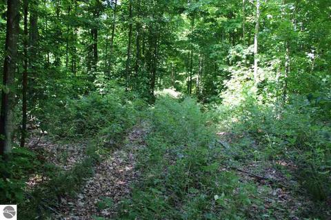4663 Soderquist Rd, Mancelona, MI 49659 photo 47