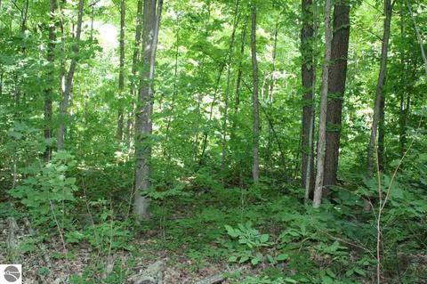 4663 Soderquist Rd, Mancelona, MI 49659 photo 52