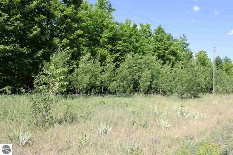 4663 Soderquist Rd, Mancelona, MI 49659 photo 43