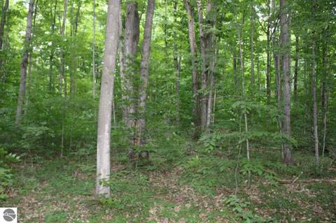 4663 Soderquist Rd, Mancelona, MI 49659 photo 49