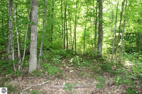 4663 Soderquist Rd, Mancelona, MI 49659 photo 48