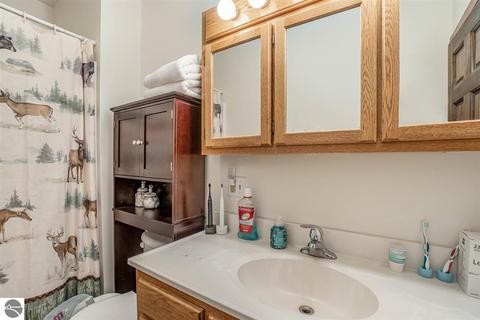 925 S Saint Johns St, Ithaca, MI 48847 photo 16