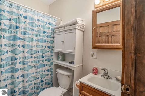 925 S Saint Johns St, Ithaca, MI 48847 photo 18