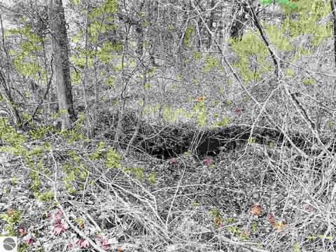 10151 E 12 Rd, Manton, MI 49663 photo 10