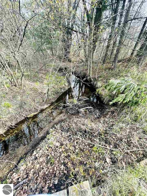 10151 E 12 Rd, Manton, MI 49663 photo 12