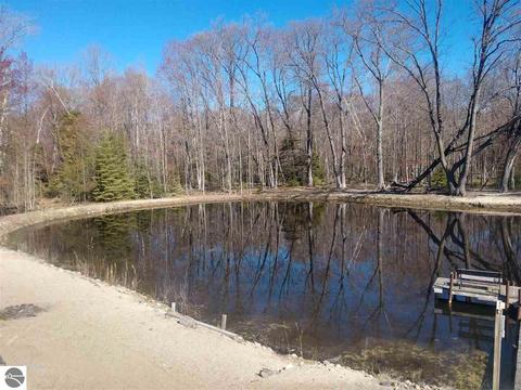 4693 E Michigan Ave, Au Gres, MI 48703 photo 10