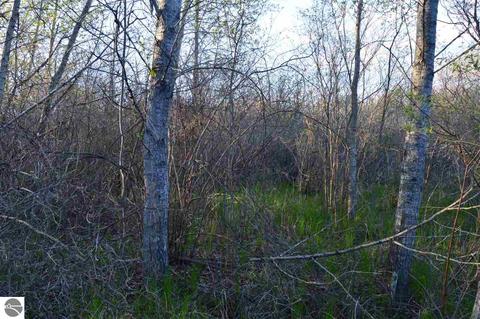 136 W Winegars Rd, Gladwin, MI 48624 photo 12