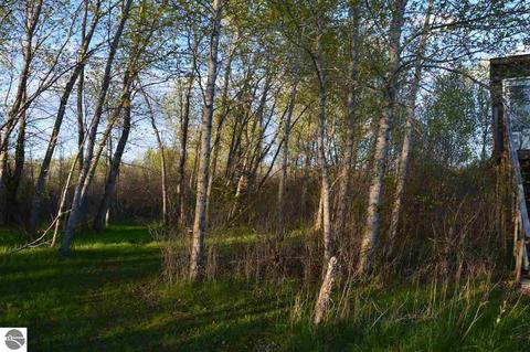 136 W Winegars Rd, Gladwin, MI 48624 photo 4