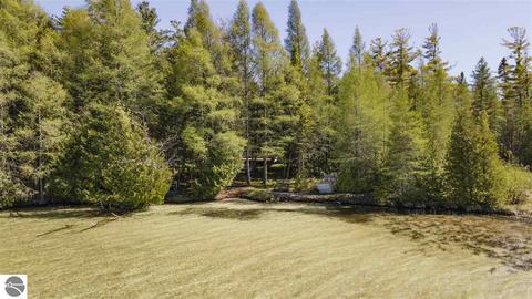 677 E Lin-sher-dave Ln, Cedar, MI 49621 photo 30