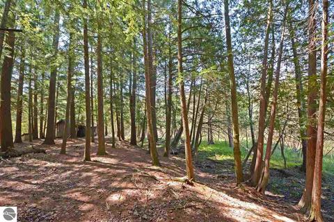 1446 Cedar Ln, Honor, MI 49640 photo 6